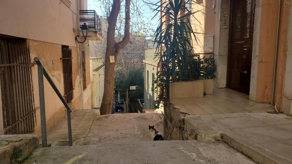 Athens City Center Luxury Suites المظهر الخارجي الصورة